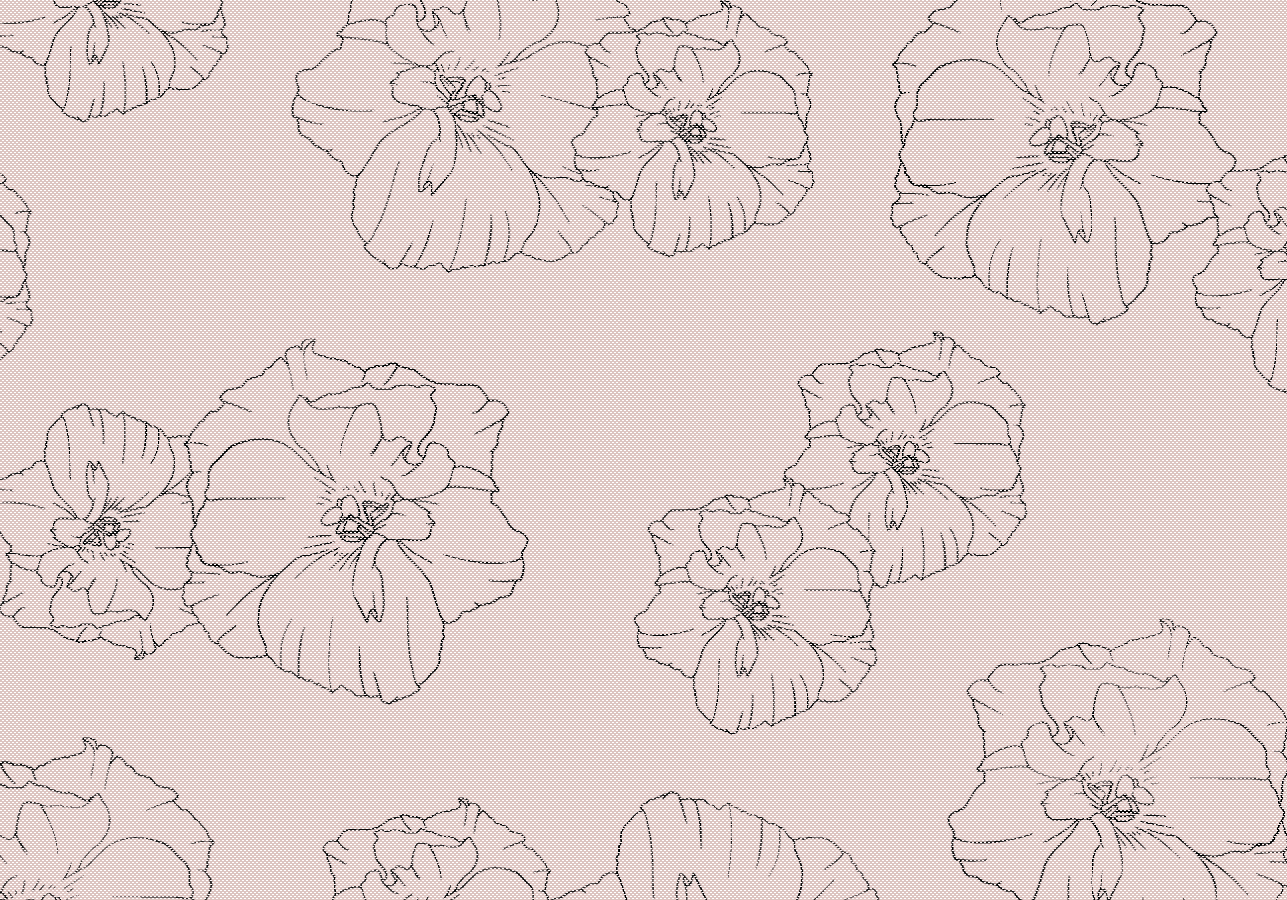 eustoma